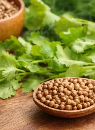 Step by step guide on how to grow coriander (cilantro) at home successfully.