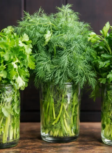 Fresh herbs stored properly to enhance flavor and longevity.
